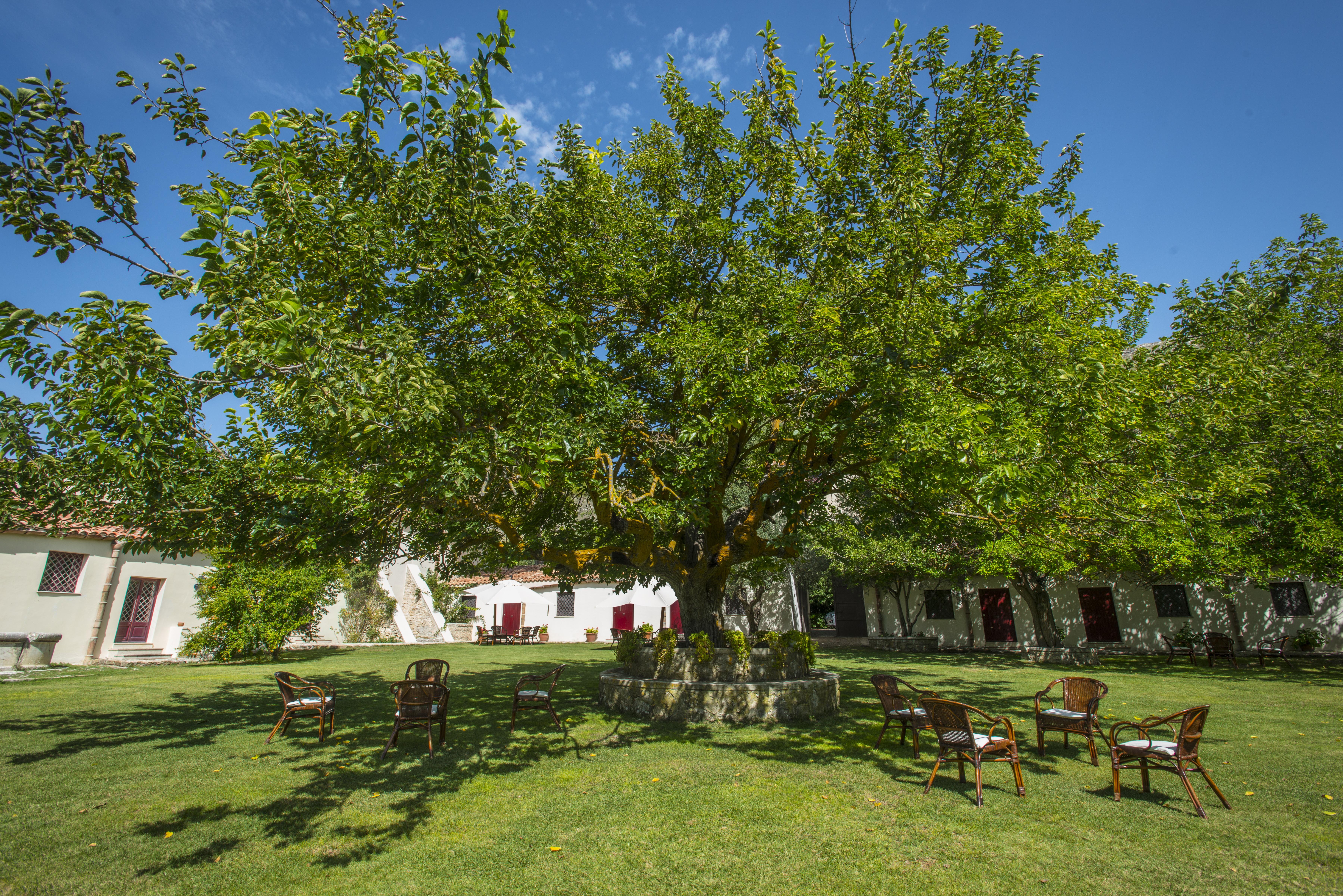 Masseria Rossella Piana Degli Albanesi Exterior foto